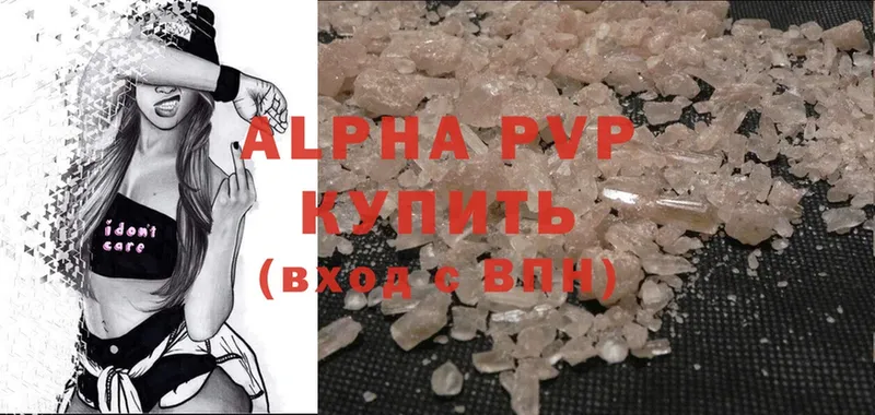 A PVP СК  Каменногорск 