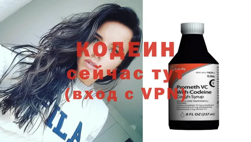 ссылка на мегу вход  Каменногорск  Кодеиновый сироп Lean Purple Drank 